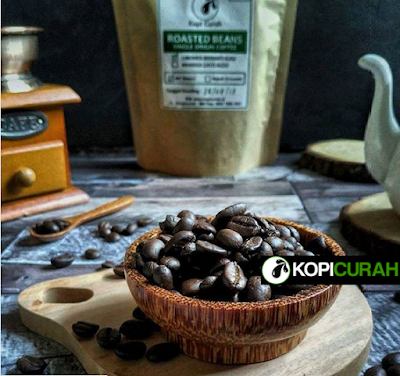 Wisata Agro Kebun Kopi Luwak Kabupaten Meranti kopi curah