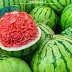 Complete Information About Watermelon