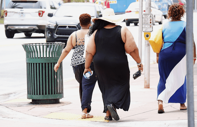 La obesidad una gran enfermedad de la población mundial