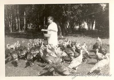 Farming Turkeys two DL antiques
