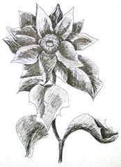 flower01