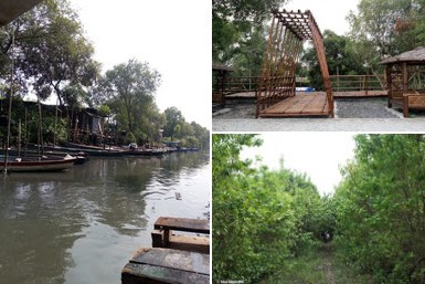 Rute Lokasi Wisata Mangrove Gunung Anyar dan Tiket Masuk