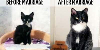 11 Meme Kocak Cewek Sebelum dan Setelah Menikah Ini Bikin Ngeri-ngeri Sedap