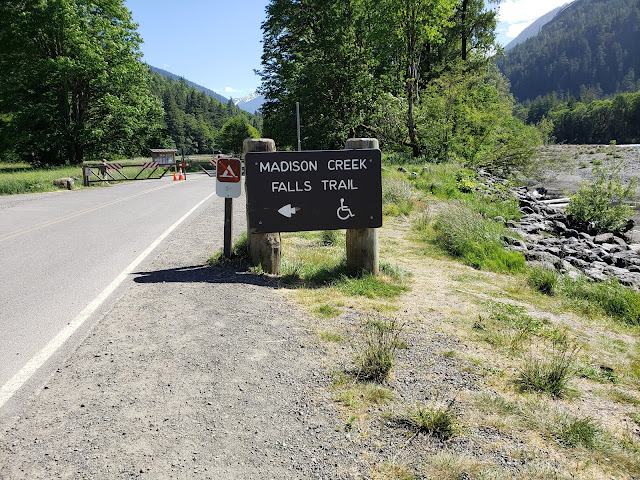 Olympic national park, national park, park, Olympic, waterfalls, hiking, forest, mountains