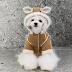 Artical on dog coats