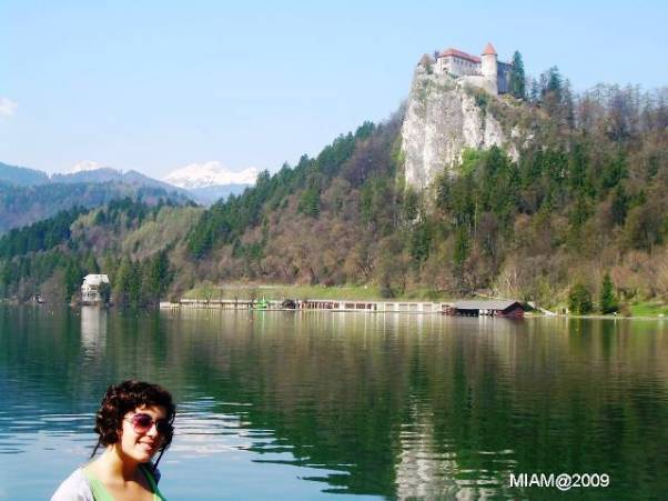 BLED2009