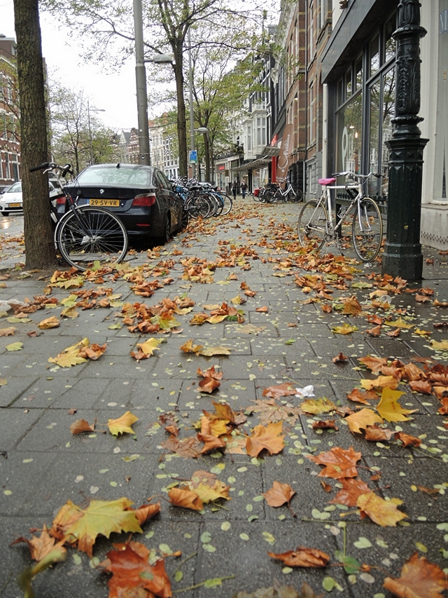 Rotterdam: nog een laatste keer, voorlopig toch...