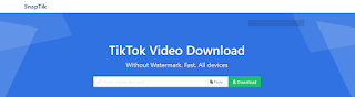 Snaptik TikTok Video Download solution without Watermark via Snaptik.com