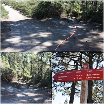 GR-131 - TRAMO 3 LA ESPERANZA (EL ROSARIO) AL ÁREA RECREATIVA DE LA CALDERA (AGUAMANSA - LA OROTAVA), sendero o camino forestal cruza la Vereda las Yuntas