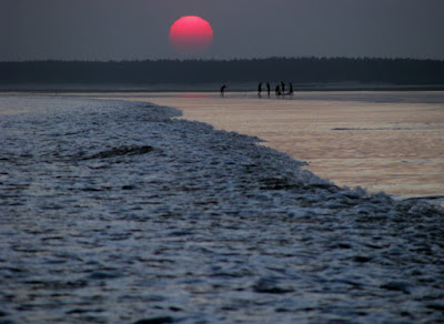 beach in digha