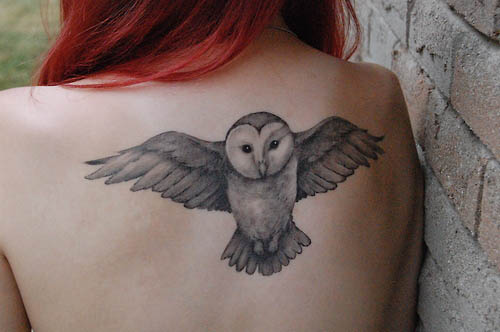 Owl Tattoos