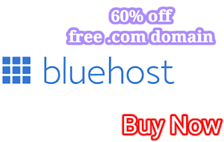 Bluehost vs Godaddy, which is better for new bloggers and which is better for old bloggers