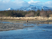Brooks Camp