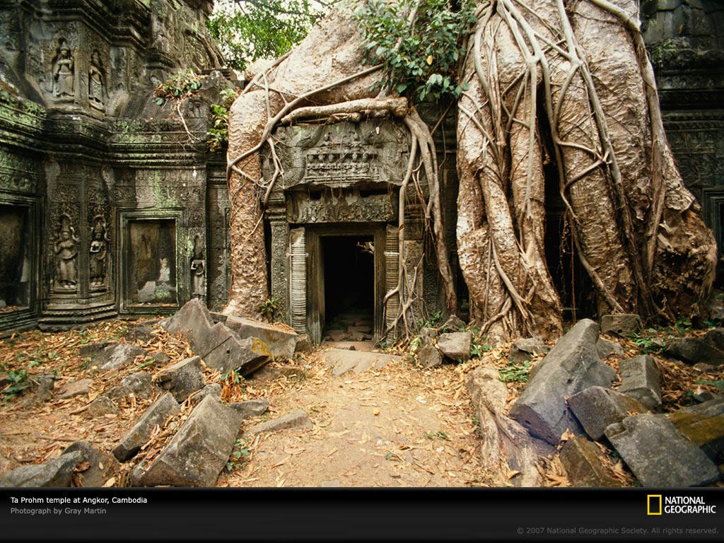 Apparently National Geographic has found a real life version of the ...