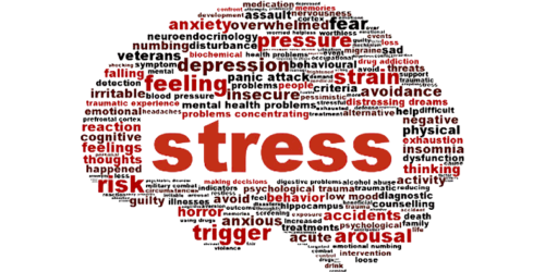 What is stress: Effect and causes