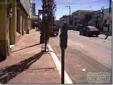 IMG00135-20101102-1057