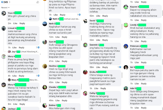 Some of the Comments by Facebook Trolls