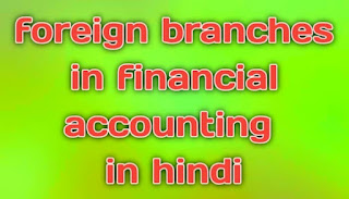 Foreign Branches in financial accounting in hindi