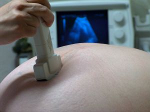 Image: Ultrasound -  Photo Credit: jess lis on freeimages.com