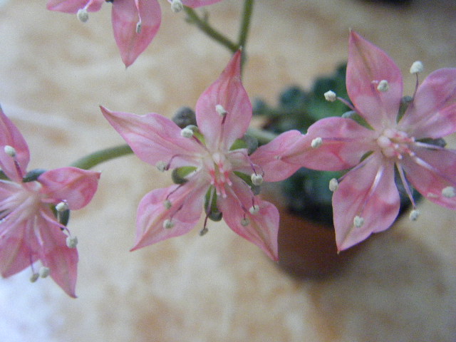 2011_06210010.JPG