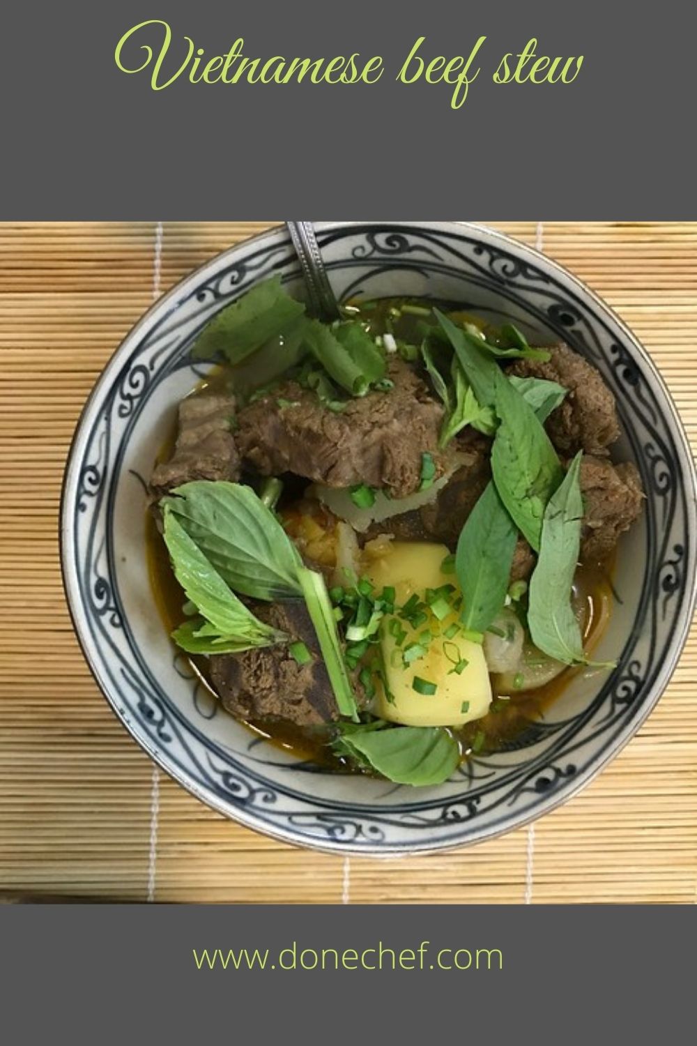 Vietnamese Beef Stew