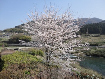 DSC03504