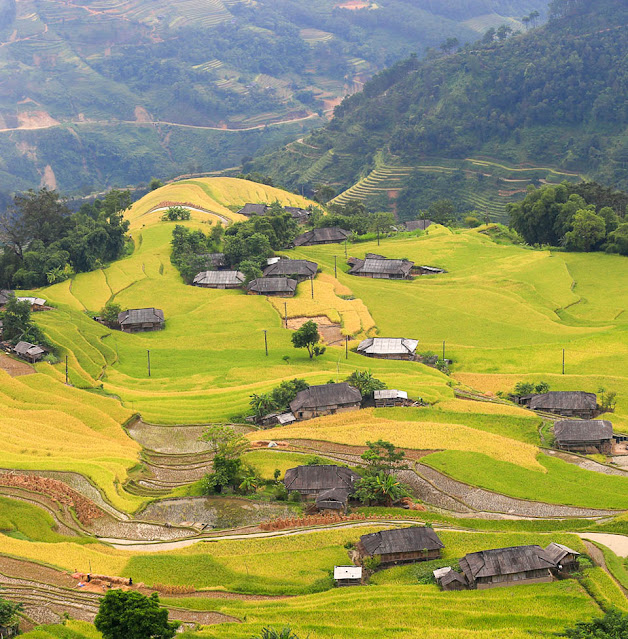 Hoàng Su Phì