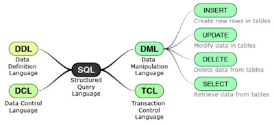 DML Statements - Inserting Data || DBMS Tutorial 6