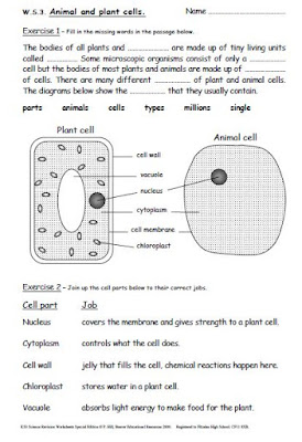 imans home school key stage 3 science revision worksheets years 7 9
