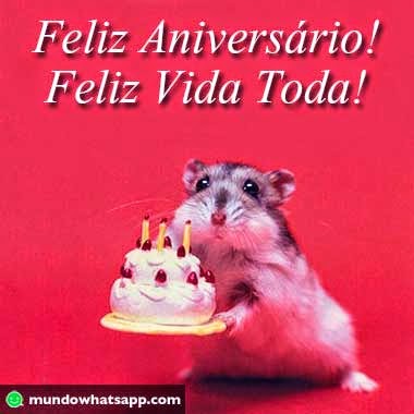 Feliz Aniversário Whatsapp Imagens whatsapp mensagens e recados