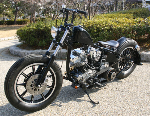 Harley Davidson By Motobluez