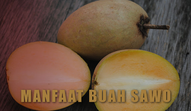 Manfaat Buah Sawo-Mengapa Buah Ini Harus Dikonsumsi?