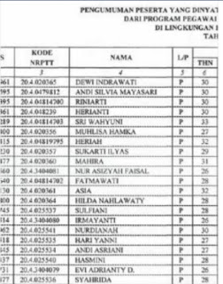 INILAH DAFTAR YANG DI TETAPKAN BKN 16.642 PTT DAN HONOER MENJADI PNS