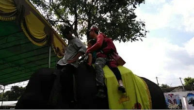 Naik Gajah Di TNWK Lampung