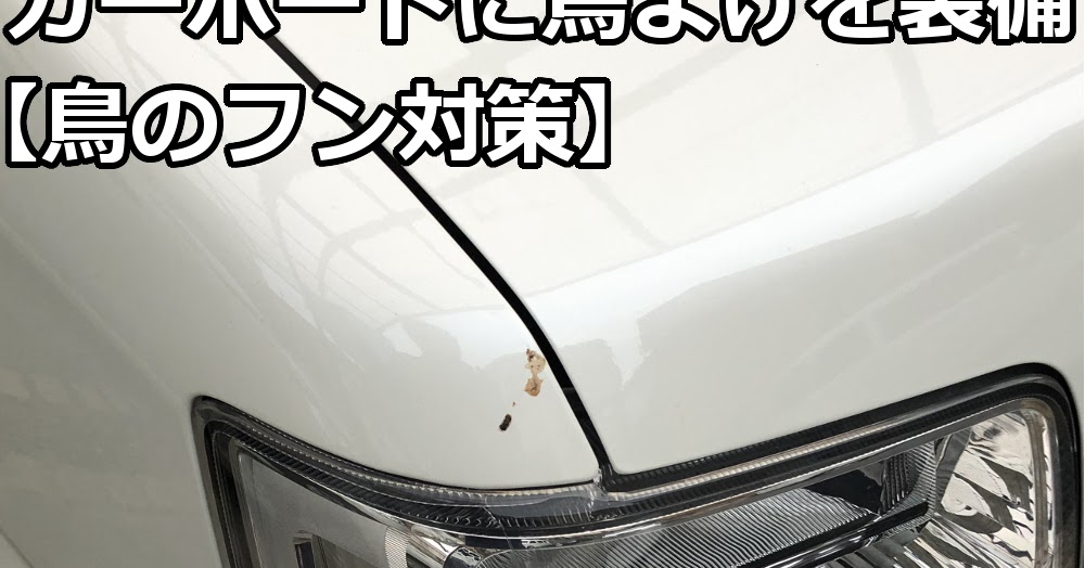 カーポートに鳥よけを装備 鳥のフン対策 100均ダイソーで簡単解決 爺キンの趣味部屋 カーポートに鳥よけを装備 鳥のフン対策 100均ダイソーで簡単解決 爺キンの趣味部屋