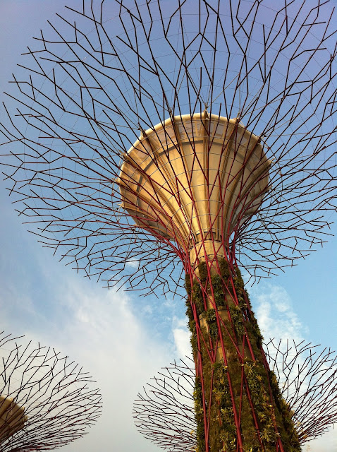 Gardens by the Bay