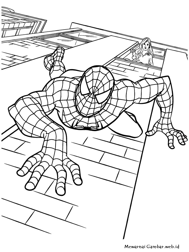 Mewarnai Gambar Spiderman | Mewarnai Gambar