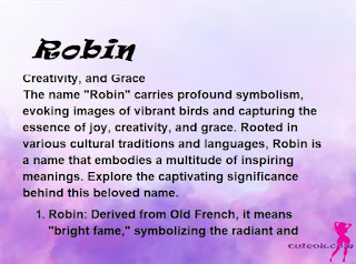 meaning of the name "Robin"