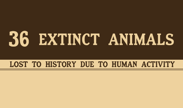 These 36 Animals Went Extinct Because of Humans 