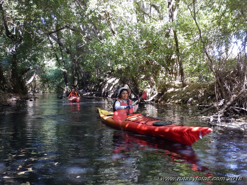 Kayak río Palmones