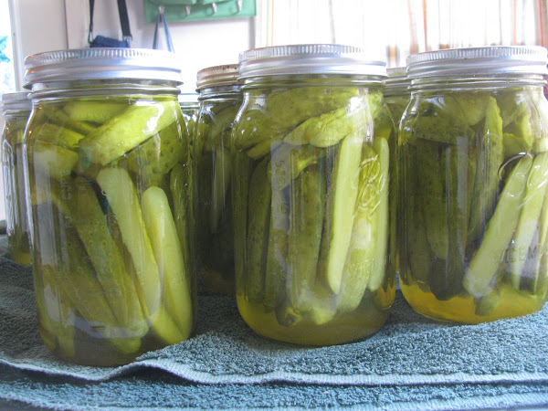 Pickles: The EASIEST Thing To Can