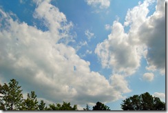 DSC_1207_edited