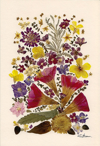 dried flowers art