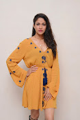 lavanya tripathi sizzling photos-thumbnail-21