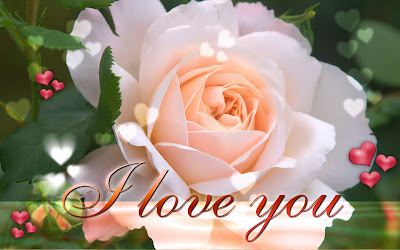 6. New Latest I Love You Wallpapers On This Valentines Day 2014