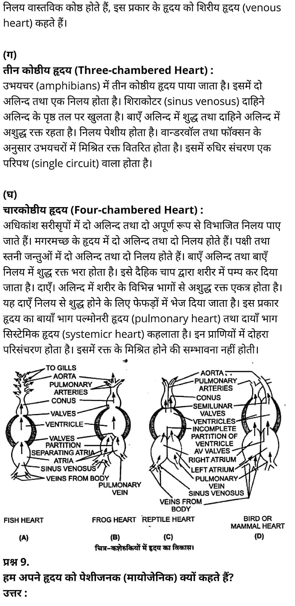 कक्षा 11 जीव विज्ञान अध्याय 18 के नोट्स हिंदी में एनसीईआरटी समाधान,   class 11 Biology Chapter 18,  class 11 Biology Chapter 18 ncert solutions in hindi,  class 11 Biology Chapter 18 notes in hindi,  class 11 Biology Chapter 18 question answer,  class 11 Biology Chapter 18 notes,  11   class Biology Chapter 18 in hindi,  class 11 Biology Chapter 18 in hindi,  class 11 Biology Chapter 18 important questions in hindi,  class 11 Biology notes in hindi,  class 11 Biology Chapter 18 test,  class 11 BiologyChapter 18 pdf,  class 11 Biology Chapter 18 notes pdf,  class 11 Biology Chapter 18 exercise solutions,  class 11 Biology Chapter 18, class 11 Biology Chapter 18 notes study rankers,  class 11 Biology Chapter 18 notes,  class 11 Biology notes,   Biology  class 11  notes pdf,  Biology class 11  notes 2021 ncert,  Biology class 11 pdf,  Biology  book,  Biology quiz class 11  ,   11  th Biology    book up board,  up board 11  th Biology notes,  कक्षा 11 जीव विज्ञान अध्याय 18, कक्षा 11 जीव विज्ञान का अध्याय 18 ncert solution in hindi, कक्षा 11 जीव विज्ञान  के अध्याय 18 के नोट्स हिंदी में, कक्षा 11 का जीव विज्ञान अध्याय 18 का प्रश्न उत्तर, कक्षा 11 जीव विज्ञान अध्याय 18 के नोट्स, 11 कक्षा जीव विज्ञान अध्याय 18 हिंदी में,कक्षा 11 जीव विज्ञान  अध्याय 18 हिंदी में, कक्षा 11 जीव विज्ञान  अध्याय 18 महत्वपूर्ण प्रश्न हिंदी में,कक्षा 11 के जीव विज्ञानके नोट्स हिंदी में,जीव विज्ञान  कक्षा 11 नोट्स pdf,