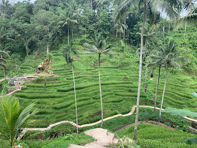 8 Tourist Places to Visit in Bali for Those Who Have Never Been to Bali for Vacation