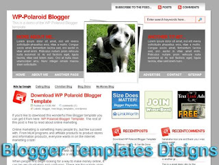 Theme WP-Polaroid Blogger Templates XML Web 2.0