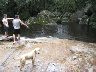 The shaggy dog who followed us on our island hike.