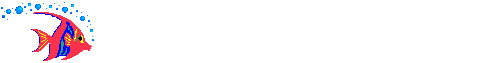 asslm. wr. wb